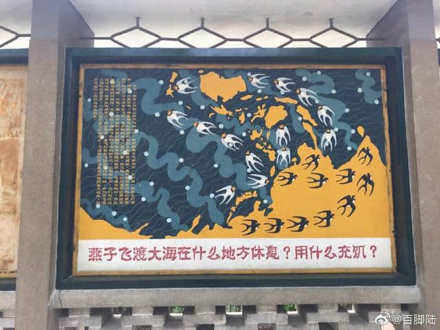 北京动物园科普展板，作者不详，但显然是个装饰插画巨匠