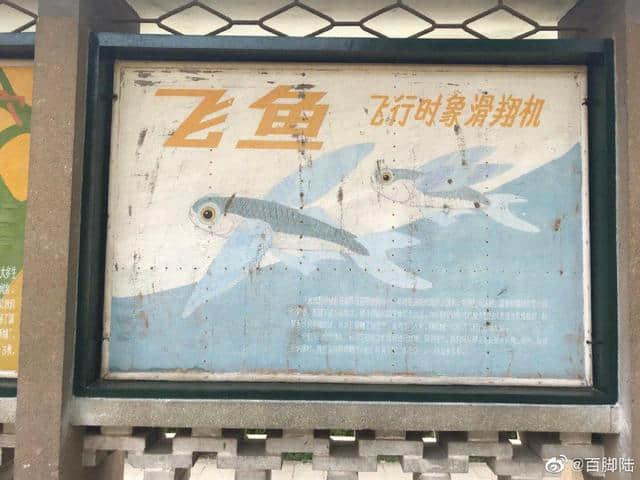 北京动物园科普展板，作者不详，但显然是个装饰插画巨匠