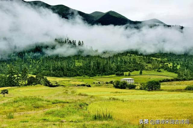 最是一年春好处，田园踏青正当时