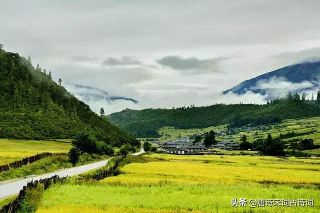 最是一年春好处，田园踏青正当时