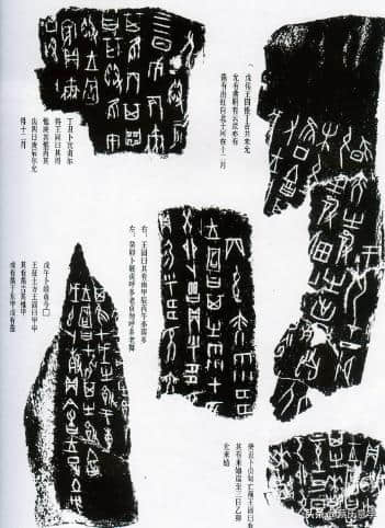 中国文、字演变史上的四种形态：文、微言文、文言文、白话文