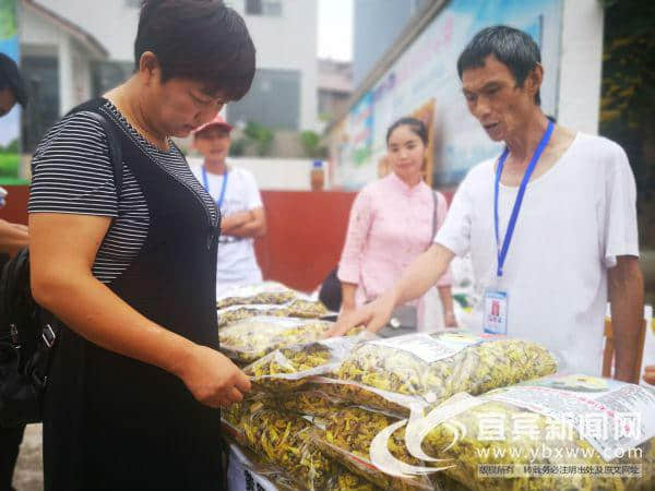 助力乡村振兴 宜宾学院校企合作发展特色种植“黄蜀葵”