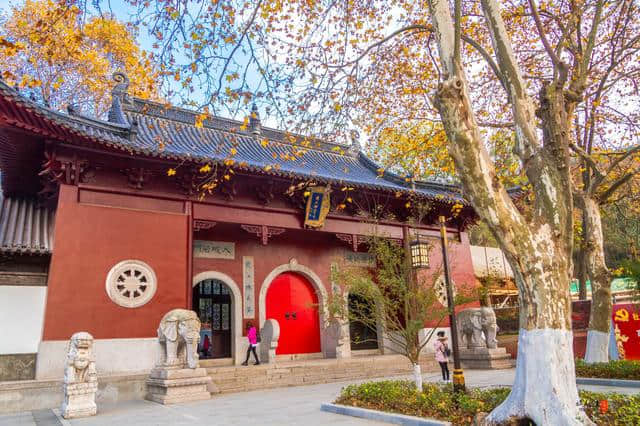 只有40元门票价格的南京栖霞山，却是江南排名第一的赏银杏赏枫地