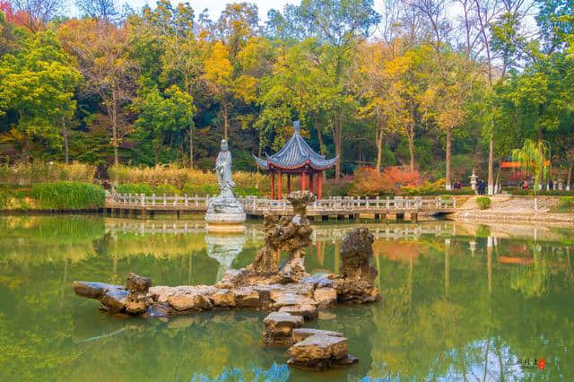 只有40元门票价格的南京栖霞山，却是江南排名第一的赏银杏赏枫地