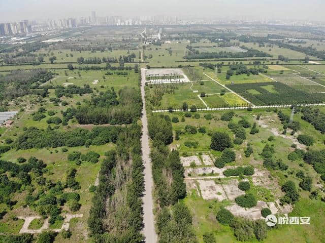 未央宫丨西安最大遗址公园明年建成开放