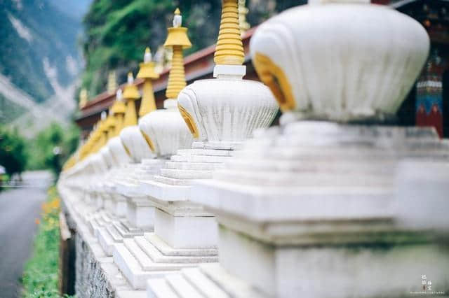 云南最有灵性的景区，千年菩提树长出佛的左手，被誉为神圣之树