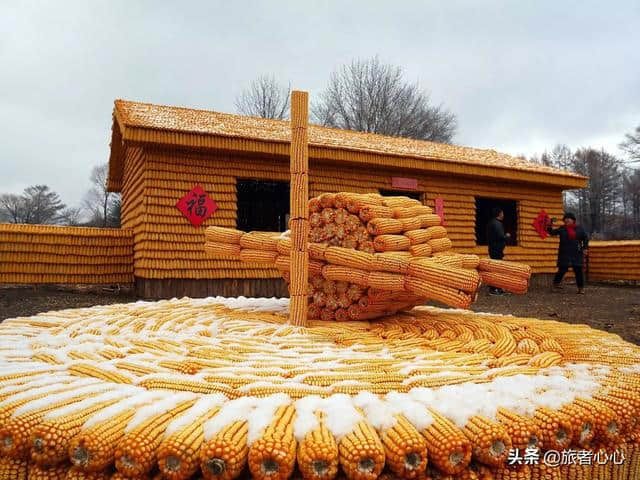原来真有“黄金屋”？老农用2万多根玉米搭建，由流浪猫看守
