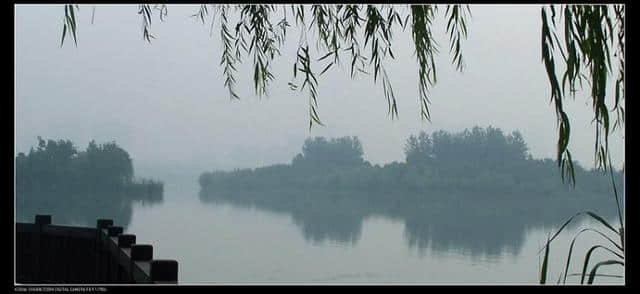 南宋赵师秀最经典的诗句：黄梅时节家家雨，青草池塘处处蛙