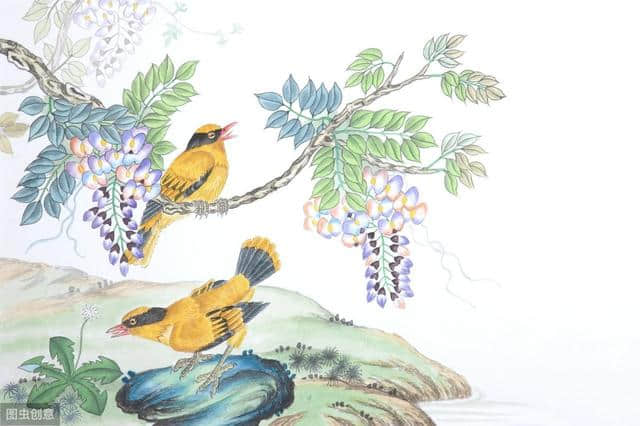“阿树，阿上，两只黄鹂鸟。”卓依婷唱的这鸟到底是什么鸟？