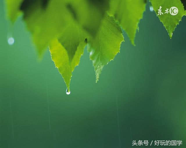 黄梅时节家家雨！那些经典写雨的古诗词！美到心底！