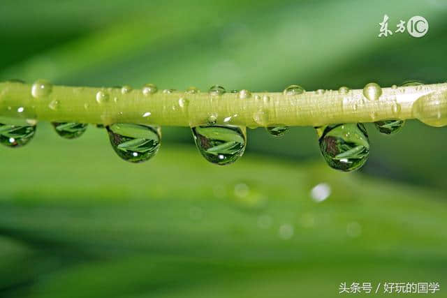 黄梅时节家家雨！那些经典写雨的古诗词！美到心底！