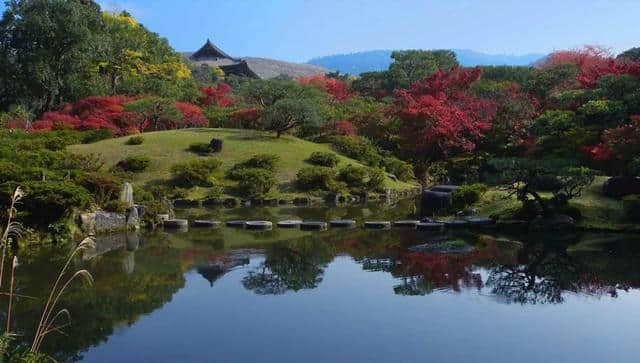 紫阳花开无尽夏，岚山秘境等烟雨，这是一场难忘的京都绮梦！