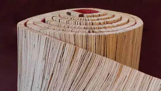棕榈皮材料的地毯，期望成为动物皮制成的传统皮革的可持续替代品