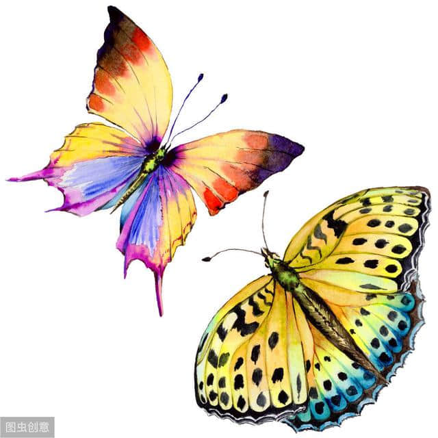 “庄周梦蝶”为何选择蝴蝶为对象？与“逍遥游”有何内在的关联？