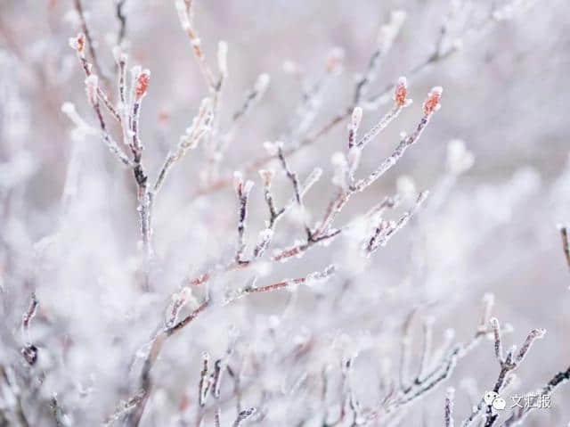 醒来，10-14℃！今日小雪，这10首经典诗词陪你静候初雪