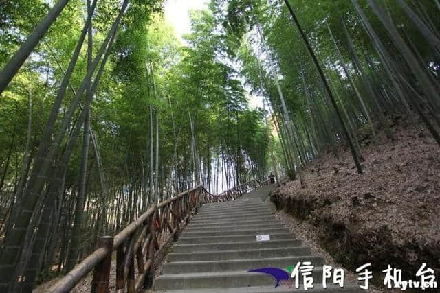黄檗山旅游综合开发有限公司：惬意山水之间 品味自然经典