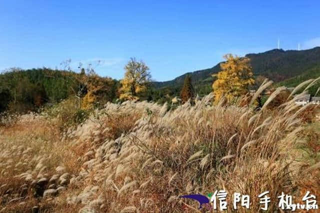 黄檗山旅游综合开发有限公司：惬意山水之间 品味自然经典
