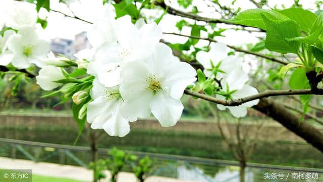 满江红：壮志饥餐胡虏肉，笑谈渴饮匈奴血