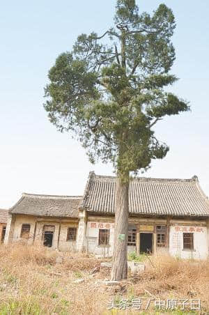 河南邓州历史上的四大名镇：㴔滩、林扒、厚坡，张村