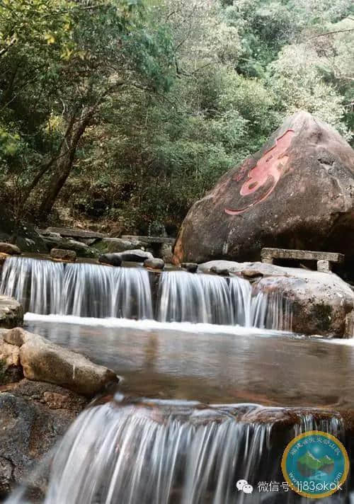 福建藏着一座宝山，快跟我去看千年银杏！