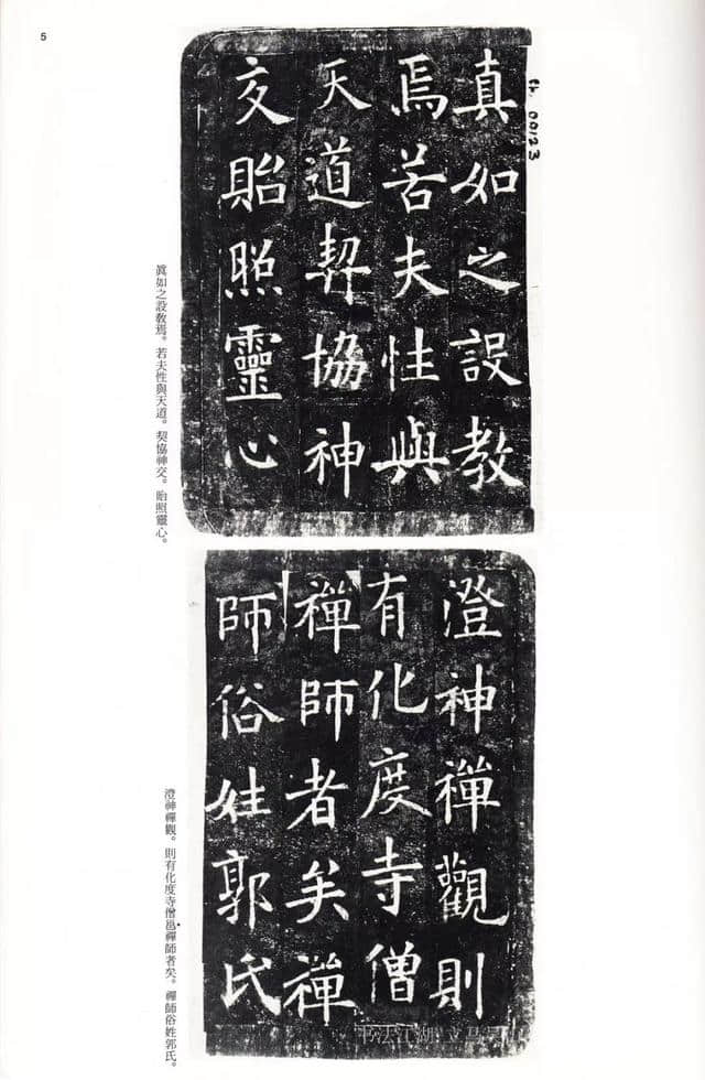 二玄社中国法书《化度寺碑、温彦博碑》