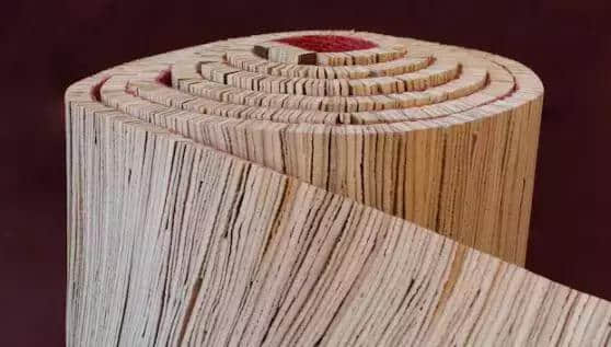棕榈皮制成的地毯，期望成为动物皮制成的传统皮革的可持续替代品