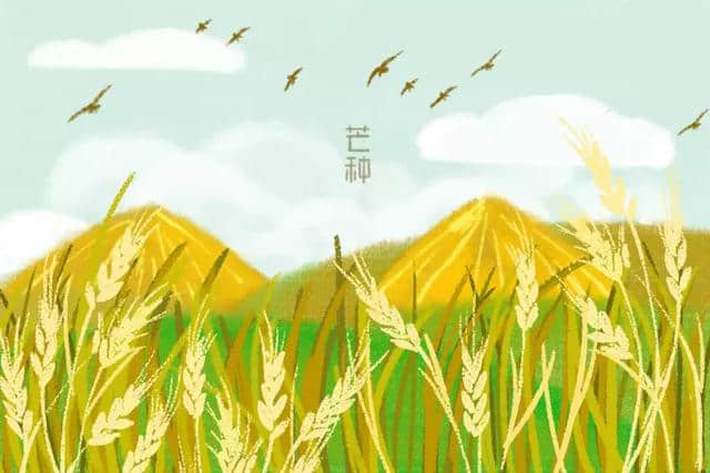 十首芒种诗词：黄梅时节家家雨，青草池塘处处蛙