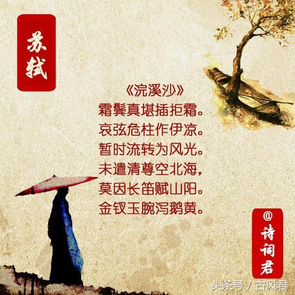 九首苏轼的浣溪沙，有没有你所喜欢的？