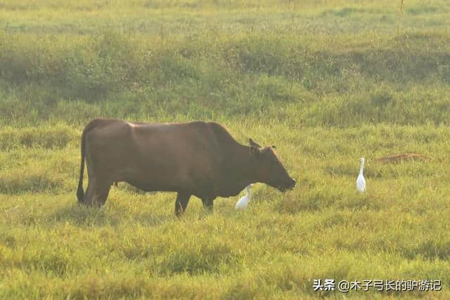 孤臣腔血满，死不愧庐陵——走马文天祥故里