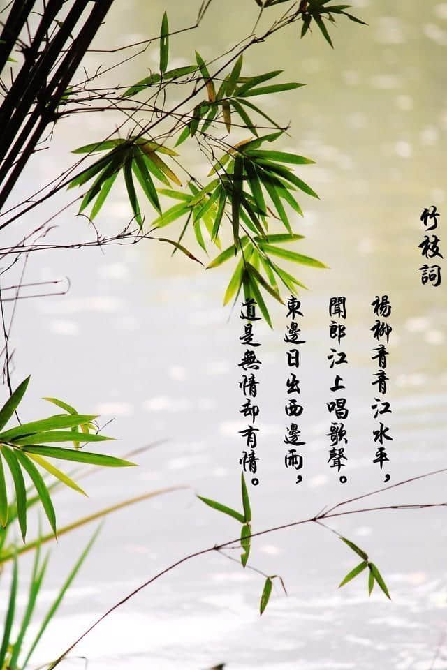 刘禹锡最有情的一首诗，不提一个情字却处处有情，传为经典！