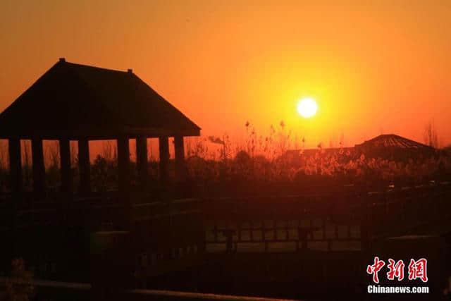甘肃戈壁湿地初冬清晨 一轮红日喷薄而出