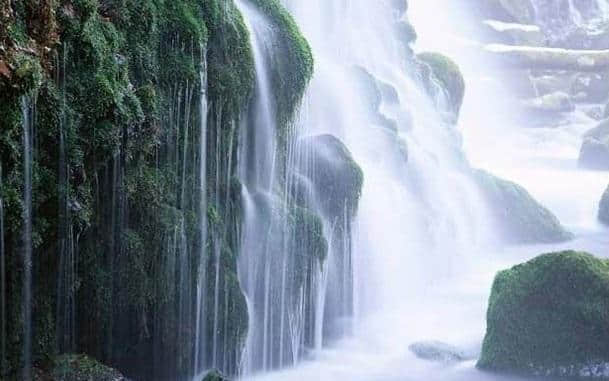 李白的《望庐山瀑布》是绝句还是古诗？