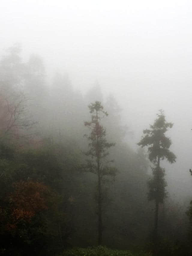 实拍：浓雾缭绕，南尖岩偶尔露峥嵘