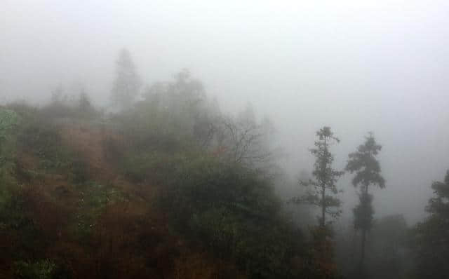 实拍：浓雾缭绕，南尖岩偶尔露峥嵘