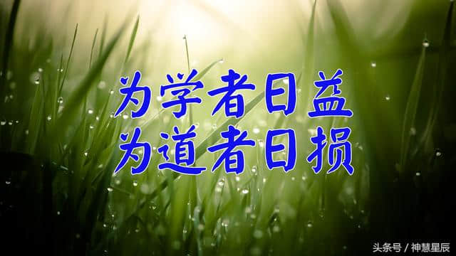 《道德经》原文和译文（简单易懂白话版）第四十八章 为学日益