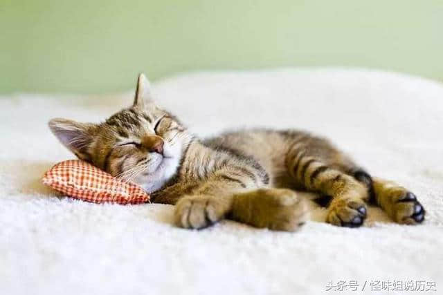 玉枕那么硬，睡觉不会落枕吗？其实在古代，枕头还有这么多寓意