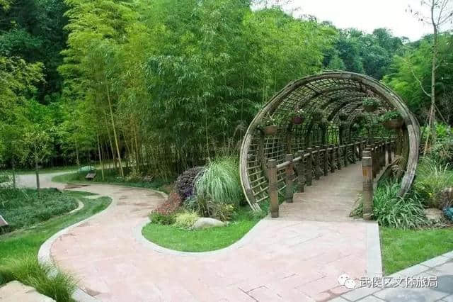 天府旅游名县创建丨墙拆了！130岁的望江楼公园焕发新活力！