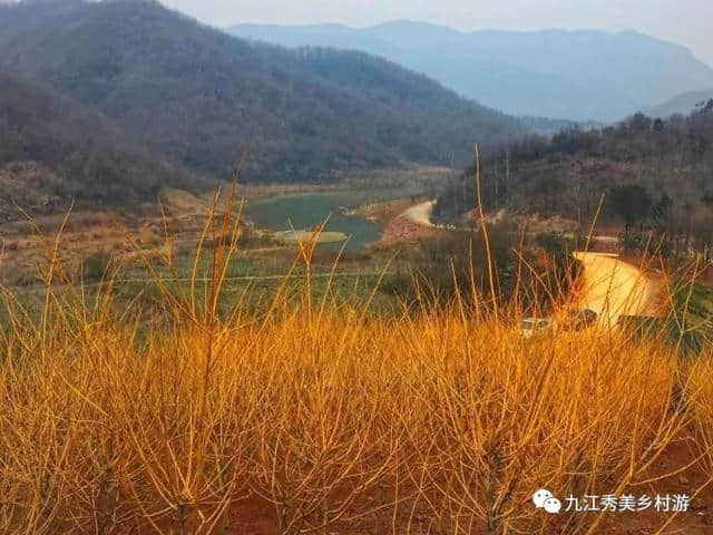 「九江秀美乡村游」之彭泽县绿发生态农业观光园