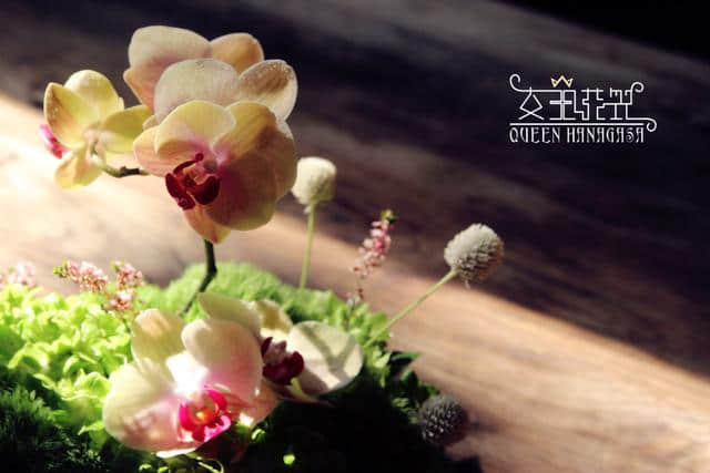 自然桌花——梨落，花与蝶