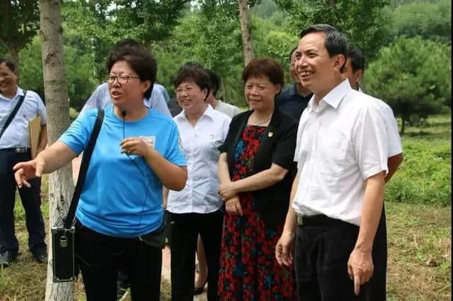 北京市副市长卢彦到草根堂调研中草药种植工作