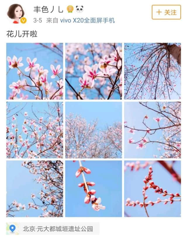 花开了！最美的北京城来啦！哪里去赏花，花开成啥样了？