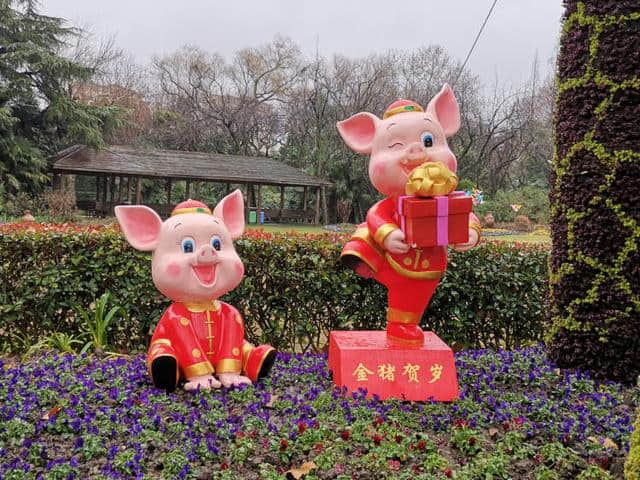 神话中的猪婆龙、长着猪尾巴的猕猴，上海动物园都给你配齐！