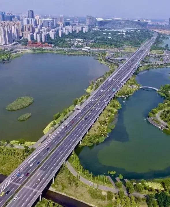 绿满蓉城，花重锦官市旅游局助力全域增绿