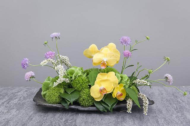 花艺篇丨自然桌花的制作——花与蝶