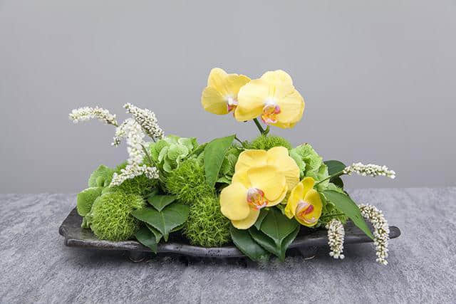 花艺篇丨自然桌花的制作——花与蝶