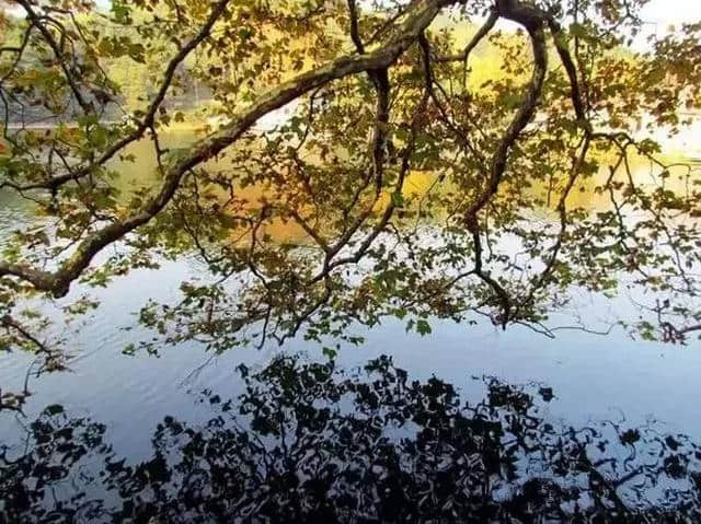 秋水伊人，江西最不容错过的5大湖光秋色，美哭了！