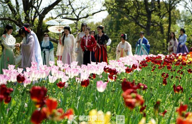 花痴注意！今年的西溪花朝节本周六浪漫启幕，去了有惊喜！