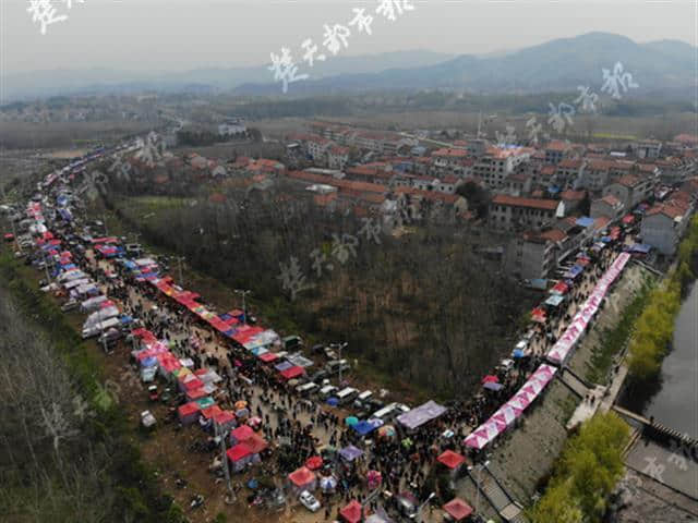 今日新洲花朝节开幕，人流绵延10公里