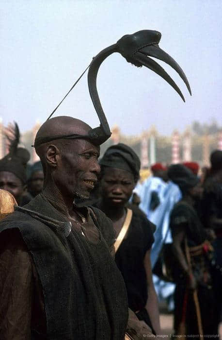 非洲的猎人使用一种传统捕鸟工具——拟鸟头套，吸引犀鸟上钩