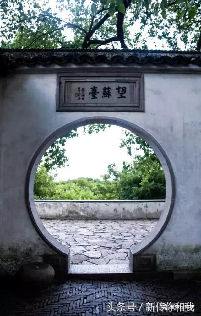 实践日志｜苏州DAY4：虎丘、金鸡湖——探寻古典楼阁与现代都会并存的“苏州之美”